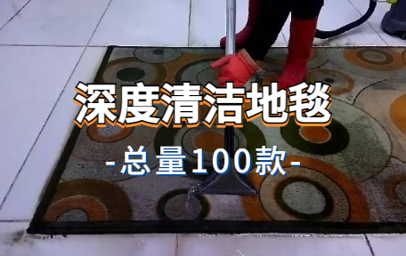 【100款】深度清洁地毯解压视频素材-零八素材网