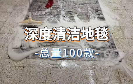 【100款】深度清洁地毯解压视频素材-零八素材网