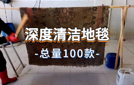 【100款】深度清洁地毯解压视频素材-零八素材网