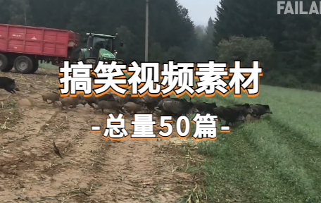 【50款】国外搞笑视频素材-零八素材网