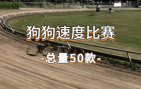 【50款】狗狗速度比赛视频素材-零八素材网