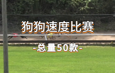 【50款】狗狗速度比赛视频素材-零八素材网