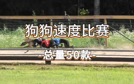 【50款】狗狗速度比赛视频素材-零八素材网