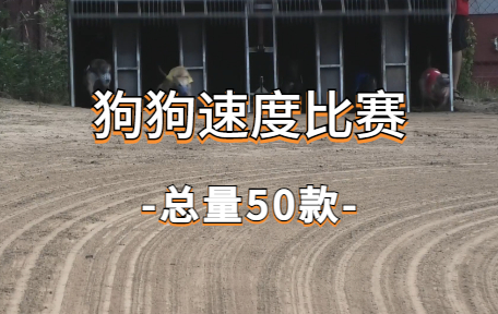 【50款】狗狗速度比赛视频素材-零八素材网